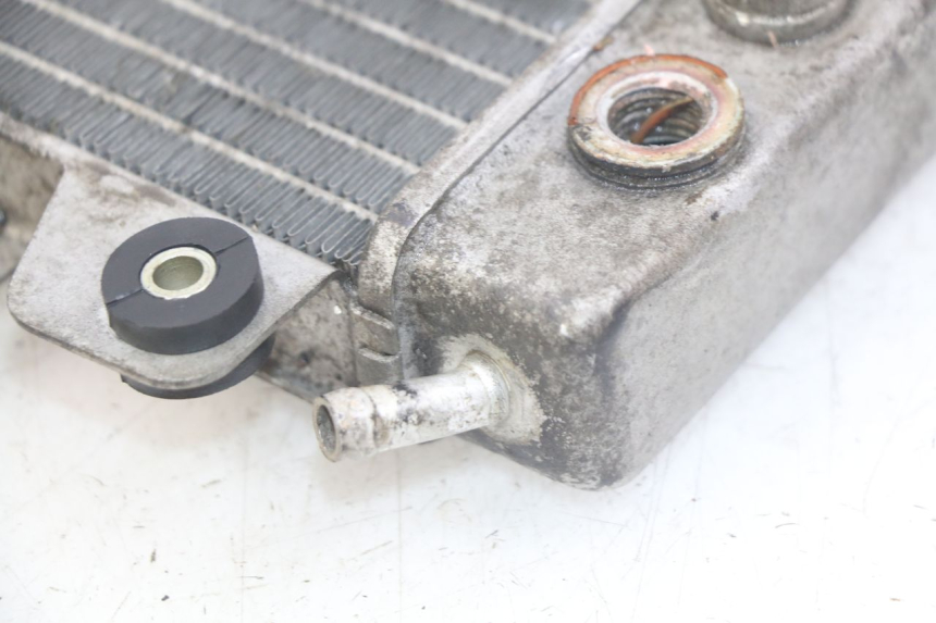 photo de RADIATOR PIAGGIO X9 EVOLUTION 250 (2003 - 2007) - Product overview