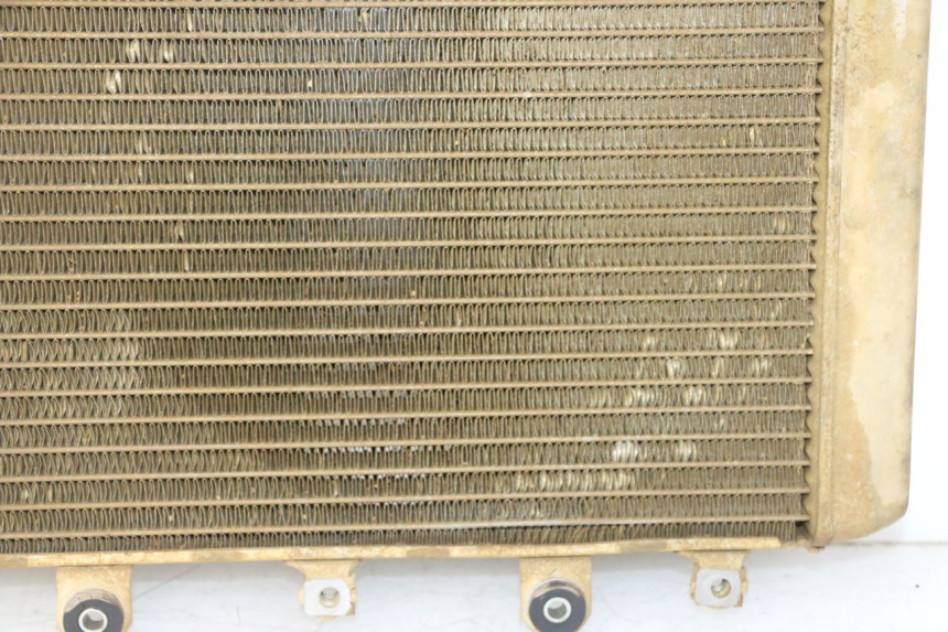 photo de COOLANT RADIATOR YAMAHA YFM GRIZZLY 550 (2008 - 2015) - Component zoom
