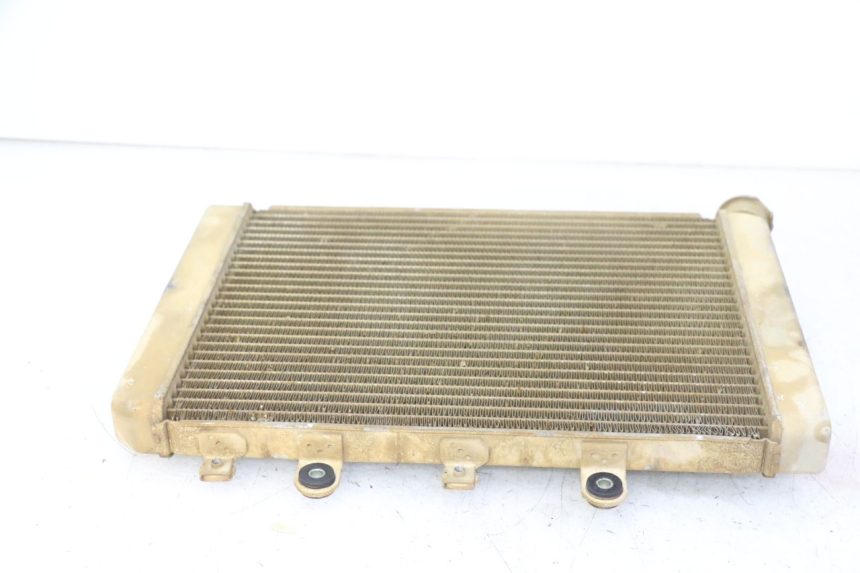 photo de COOLANT RADIATOR YAMAHA YFM GRIZZLY 550 (2008 - 2015) - Alternative perspective
