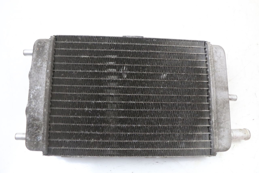 photo de RADIATOR YAMAHA YP MAJESTY 125 (2002 - 2006) - Zoom on usage condition