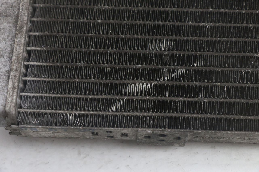 photo de RADIATOR YAMAHA YP MAJESTY 125 (1998 - 2001) - Component detail