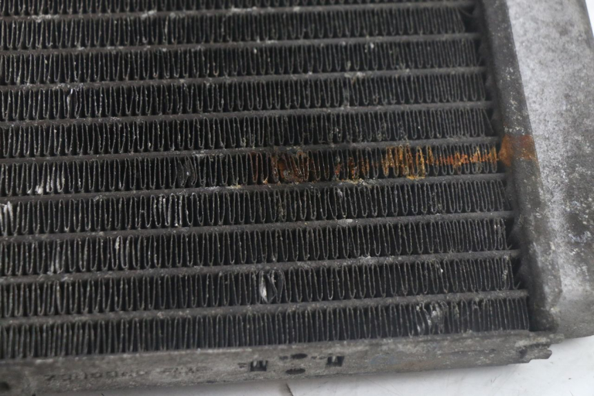 photo de RADIATOR YAMAHA YP MAJESTY 125 (1998 - 2001) - Zoom on usage condition