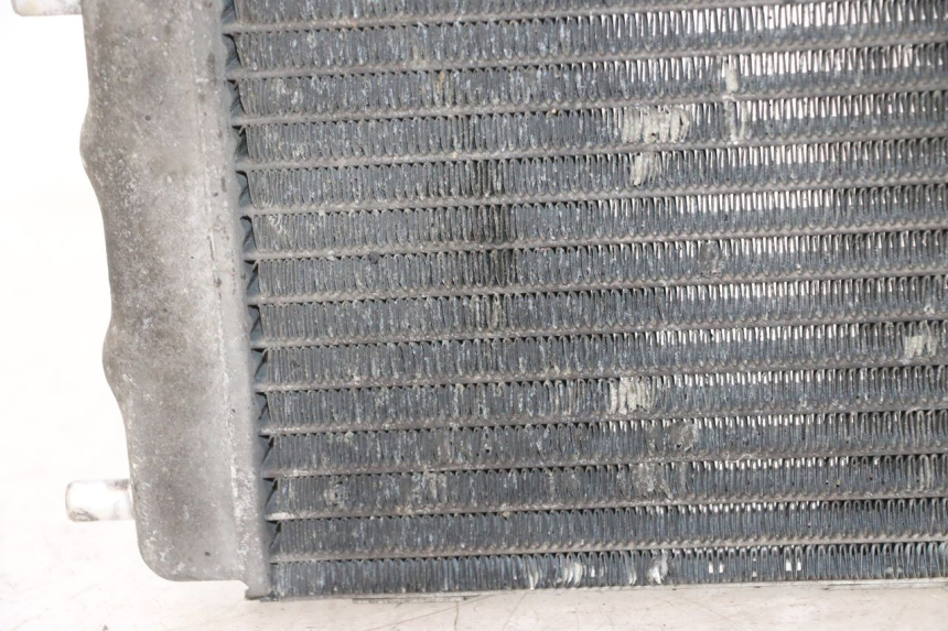 photo de RADIATOR YAMAHA YP MAJESTY 125 (2002 - 2006) - Component zoom