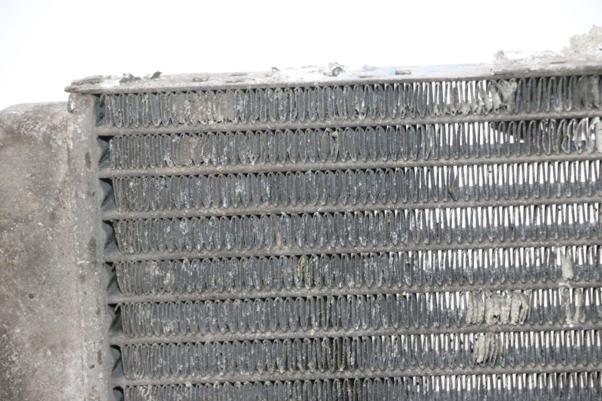 photo de RADIATOR YAMAHA YP MAJESTY 125 (2002 - 2006) - Detailed visual inspection