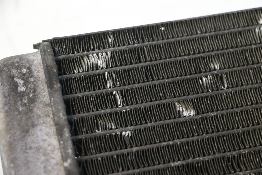 photo de RADIATOR YAMAHA YP MAJESTY 125 (1998 - 2001) - Alternative perspective