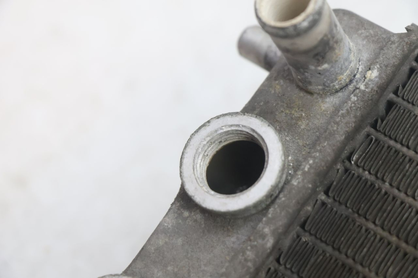 photo de RADIATOR YAMAHA YP MAJESTY 125 (2002 - 2006) - Alternative perspective