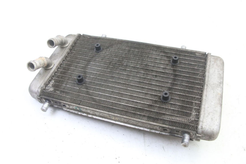 photo de COOLANT RADIATOR YAMAHA YP X-MAX XMAX 400 (2014 - 2017) - Zoom on usage condition