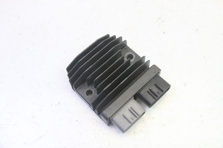 photo de REGULATOR BMW R GS 1250 (2021 - 2024) - Main view