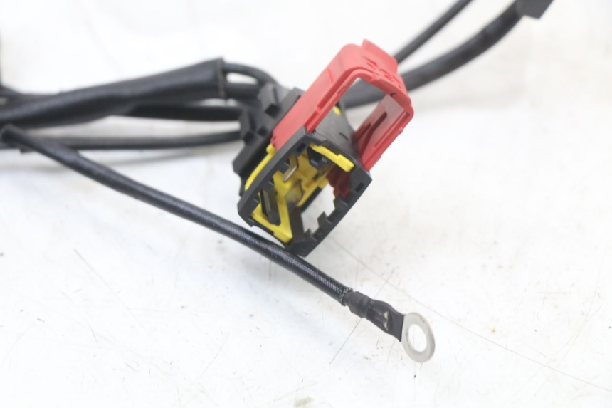 photo de REGULATOR ROYAL ENFIELD SCRAM 411 (2022 - 2024) - Fixing points details