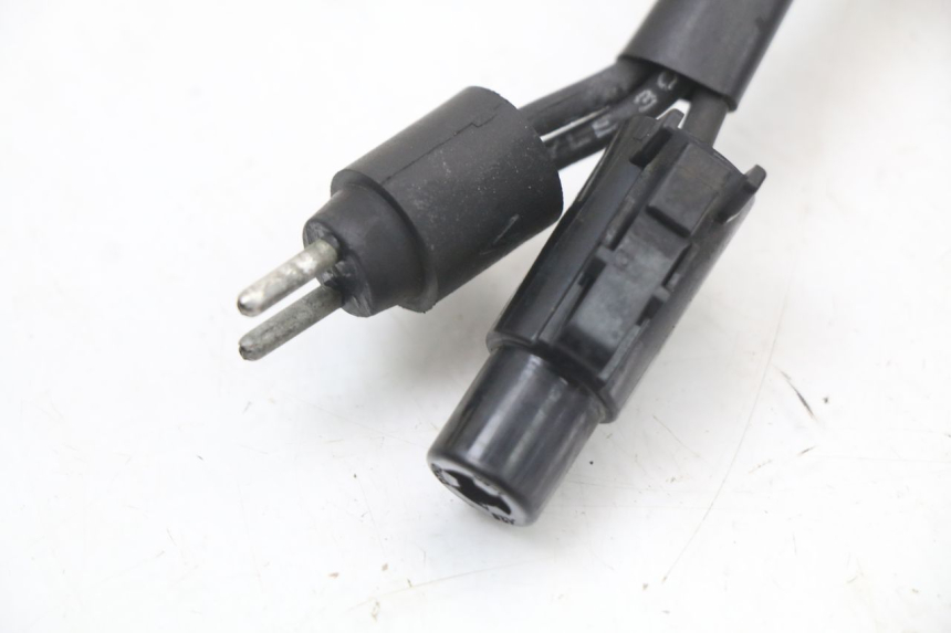 photo de REGULATOR HARLEY DAVIDSON SPORTSTER XL CUSTOM 1200 (2003 - 2004) - Alternative perspective