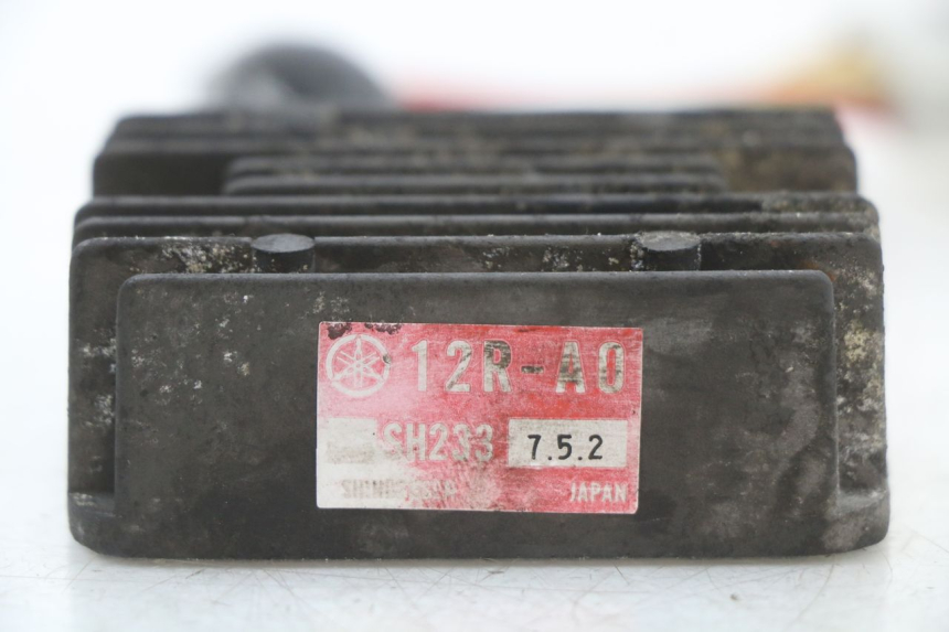 photo de REGULATOR YAMAHA XJ F 900 (1983 - 1994) - Zoom on usage condition