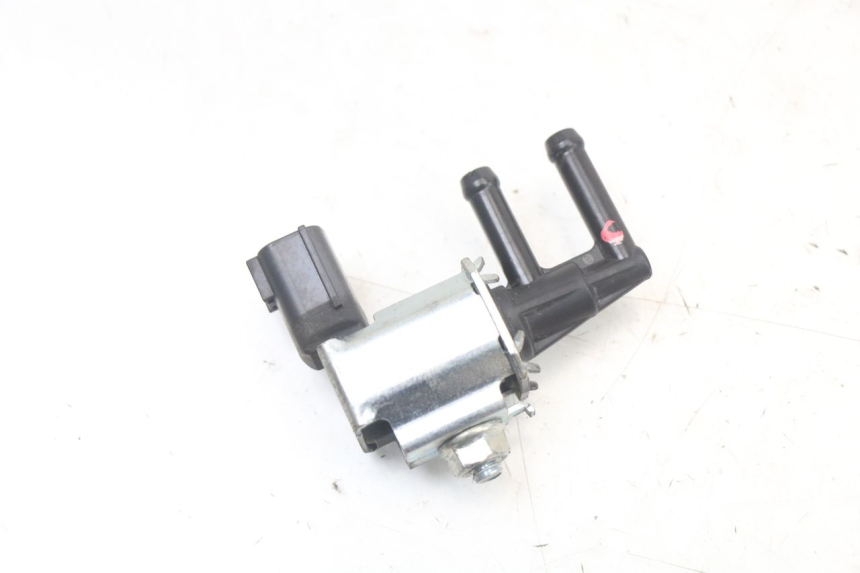 photo de RELAY HUSQVARNA SVARTPILEN 401 (2018 - 2023) - Main view