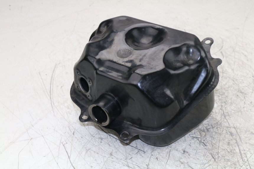 photo de FUEL TANK BAOTIAN BT COLLECTOR 50 (2005 - 2013) - Main view