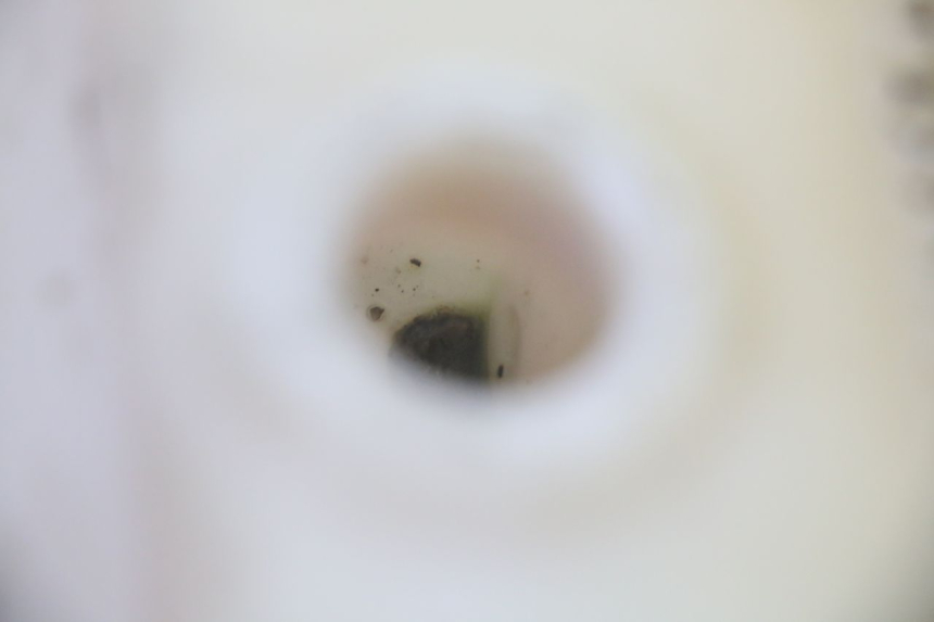 photo de OIL TANK MBK BOOSTER SPIRIT 50 (2004 - 2017) - Zoom on usage condition