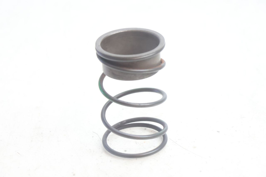 photo de CLUTCH SPRING PEUGEOT LUDIX PRO 2T 50 (2010 - 2017) - Main view