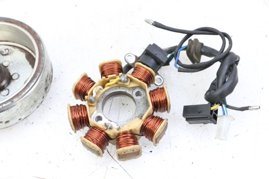 photo de ROTOR STATOR JM MOTORS EVOLIS 4T 50 (2018 - 2022) - Zoom on usage condition