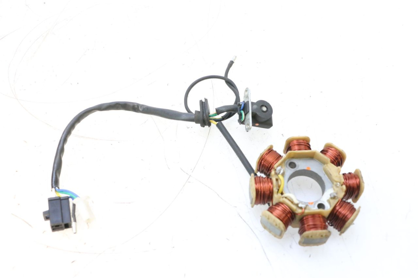 photo de ROTOR STATOR JM MOTORS EVOLIS 4T 50 (2018 - 2022) - Technical close-up