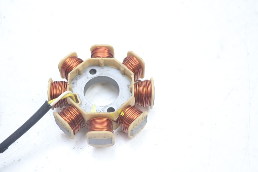 photo de ROTOR STATOR JM MOTORS EVOLIS 4T 50 (2018 - 2022) - Technical close-up