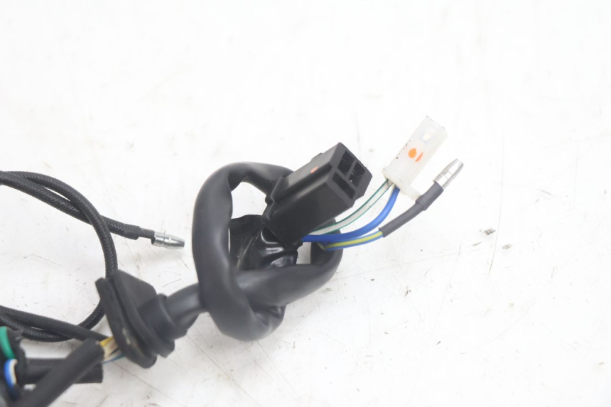 photo de ROTOR STATOR JM MOTORS EVOLIS 4T 50 (2018 - 2022) - Markings and original references