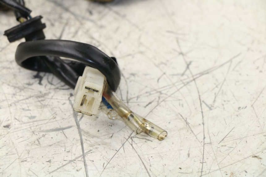 photo de ROTOR STATOR ZNEN NEW ROLANDO 50 (2010 - 2020) - Alternative perspective