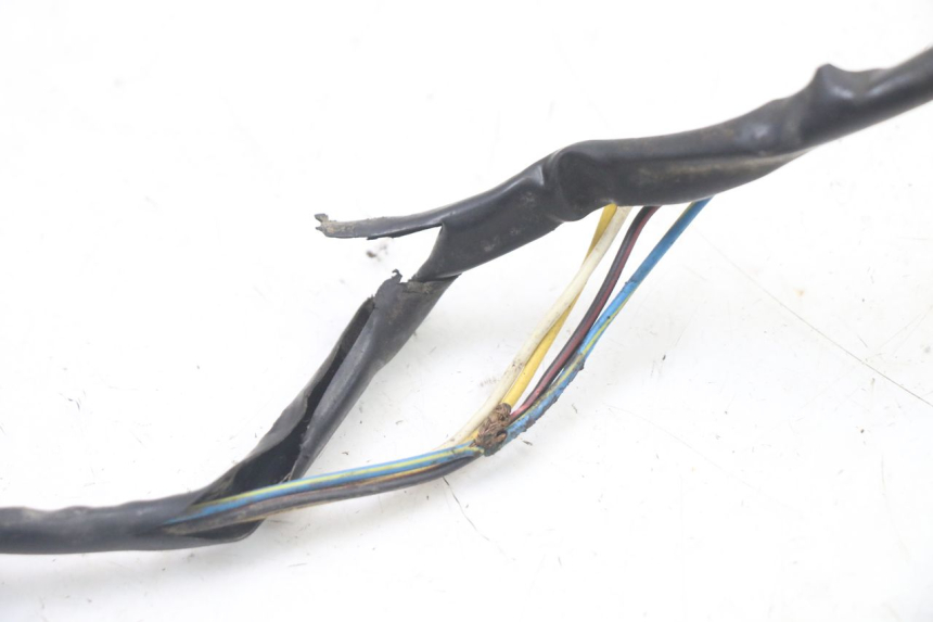 photo de ROTOR STATOR PEUGEOT TKR TREKKER FURIOUS 50 (2005 - 2014) - Distinctive features