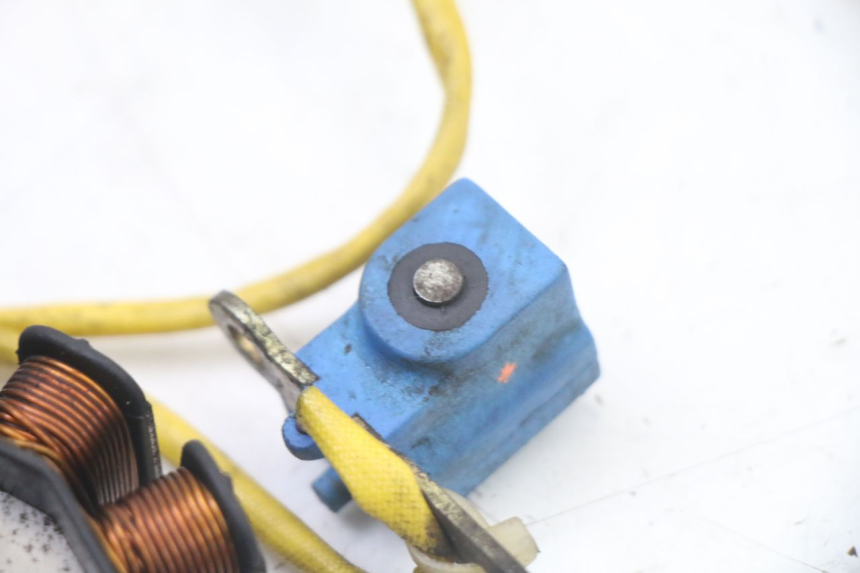 photo de ROTOR STATOR PIAGGIO X8 125 (2004 - 2007) - Checked used part