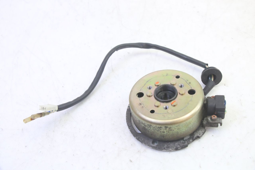 photo de ROTOR STATOR RIDE RACE 2T 50 (2012 - 2017) - Zoom on usage condition