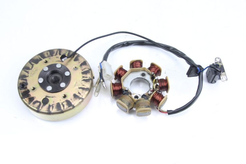 photo de ROTOR STATOR TNT MOTOR ROMA 10' 4T 50 (2007 - 2018) - Component detail