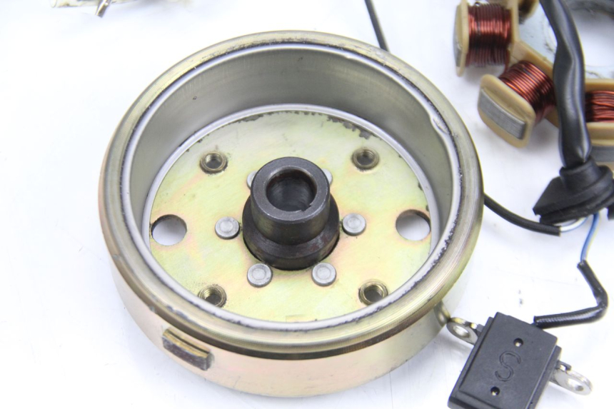 photo de ROTOR STATOR TNT MOTOR ROMA 10' 4T 50 (2007 - 2018) - Technical close-up