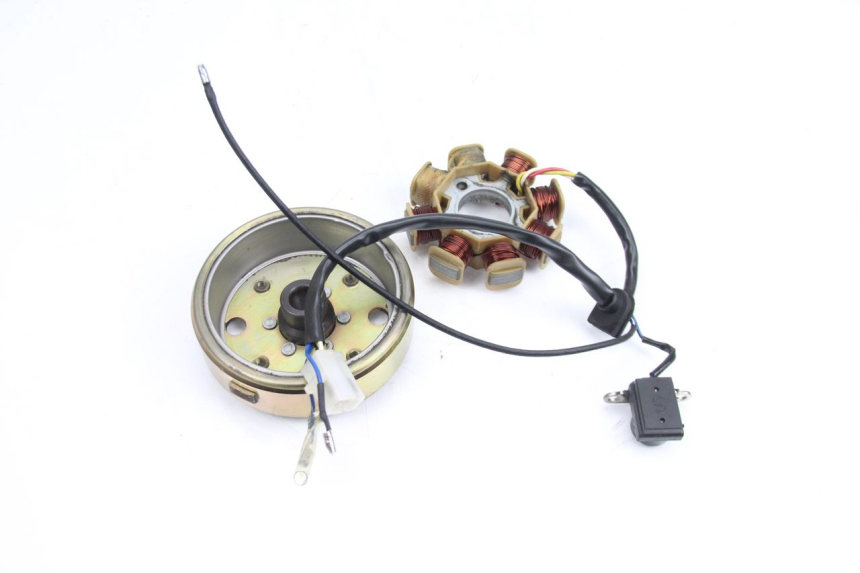 photo de ROTOR STATOR TNT MOTOR ROMA 10' 4T 50 (2007 - 2018) - Product overview