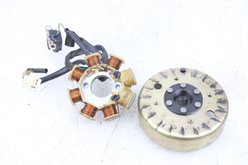 photo de ROTOR STATOR TNT MOTOR ROMA 10' 4T 50 (2007 - 2018) - Main view