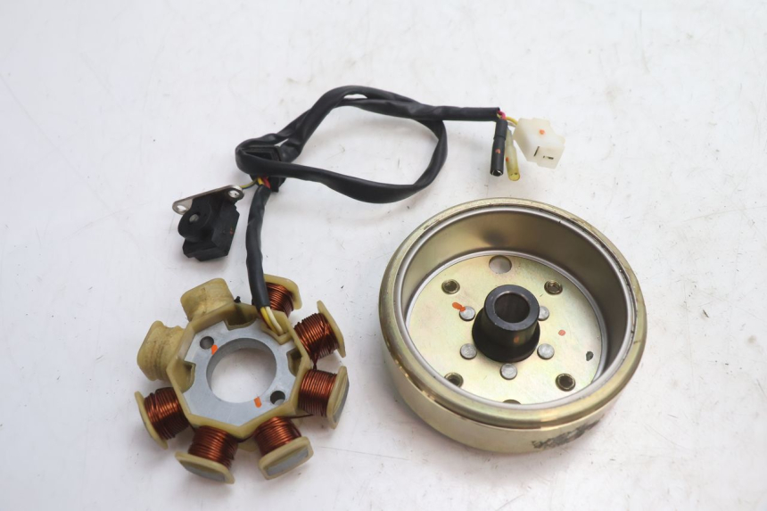 photo de ROTOR STATOR TNT MOTOR ROMA 10' 4T 50 (2007 - 2018) - Component detail