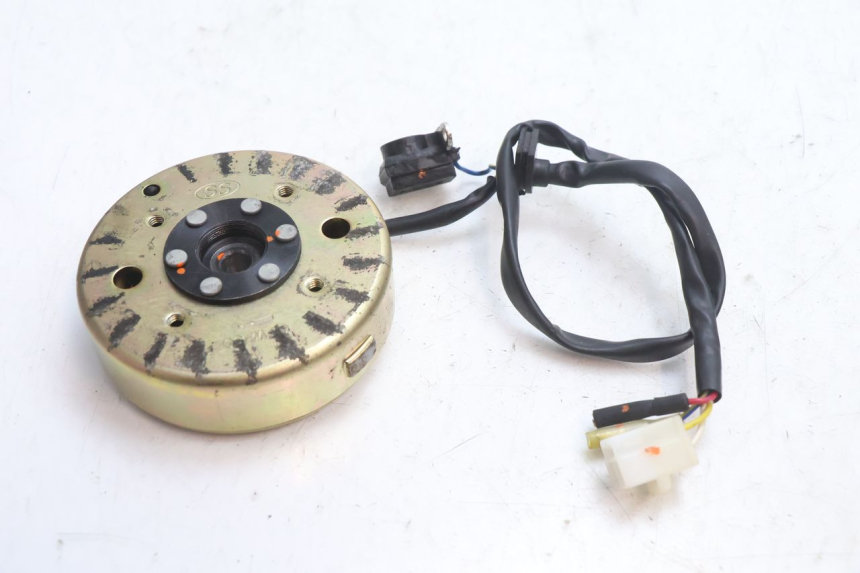 photo de ROTOR STATOR TNT MOTOR ROMA 10' 4T 50 (2007 - 2018) - Zoom on usage condition