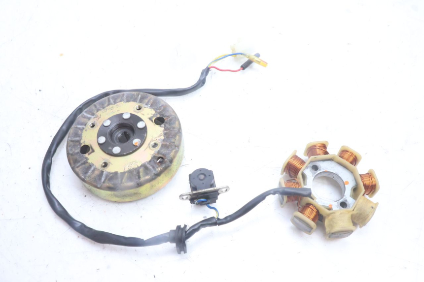 photo de ROTOR STATOR TNT MOTOR ROMA 10' 4T 50 (2007 - 2018) - Main view