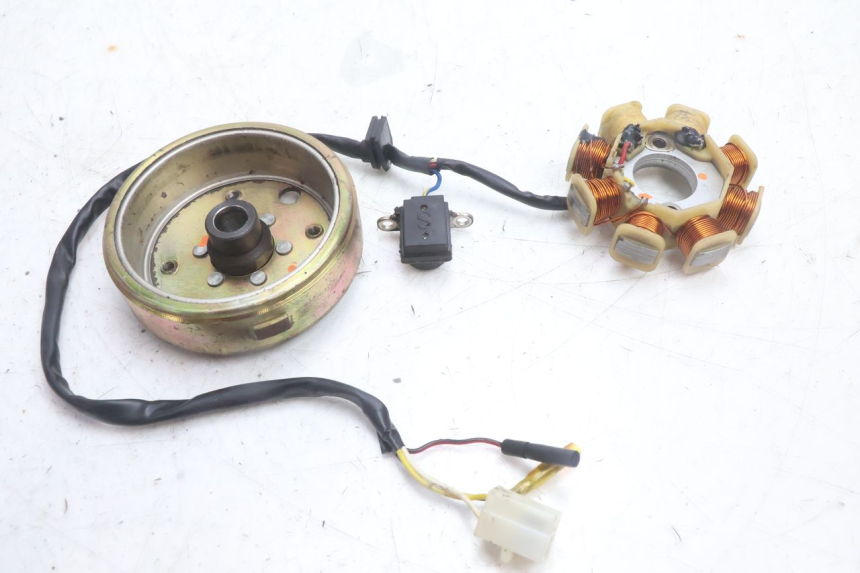 photo de ROTOR STATOR TNT MOTOR ROMA 10' 4T 50 (2007 - 2018) - Component detail