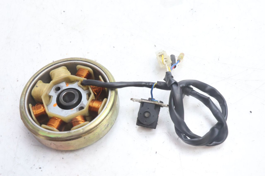 photo de ROTOR STATOR TNT MOTOR ROMA 10' 4T 50 (2007 - 2018) - Alternative perspective