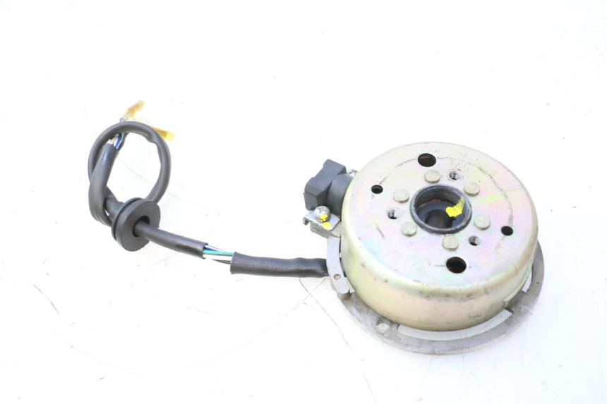 photo de ROTOR STATOR TNT MOTOR ROMA 12' 2T 50 (2007 - 2018) - Component detail