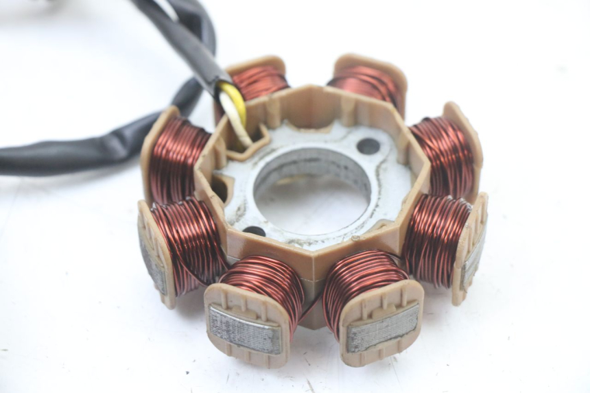 photo de ROTOR STATOR TNT MOTOR ROMA 10' 4T 50 (2019 - 2022) - Product overview