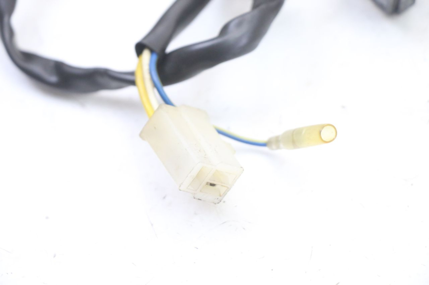 photo de ROTOR STATOR TNT MOTOR ROMA 10' 4T 50 (2019 - 2022) - Checked used part