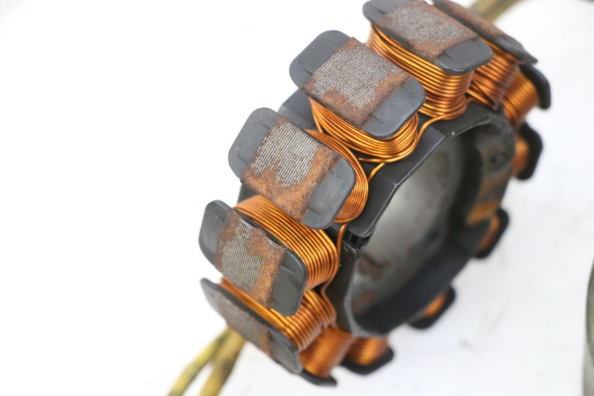 photo de ROTOR STATOR PIAGGIO X9 EVOLUTION 125 (2003 - 2007) - Distinctive features