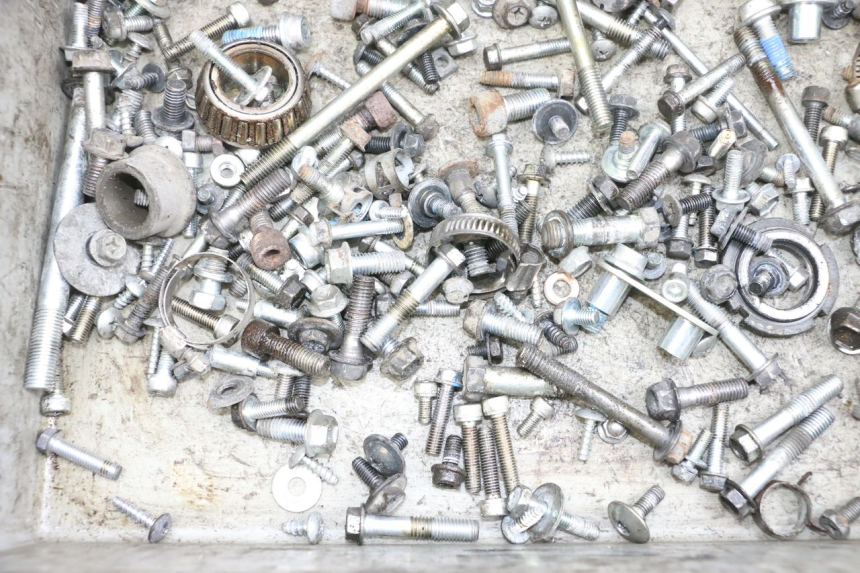 photo de SCREWS BAG SUZUKI BURGMAN 650 (2013 - 2020) - Alternative perspective