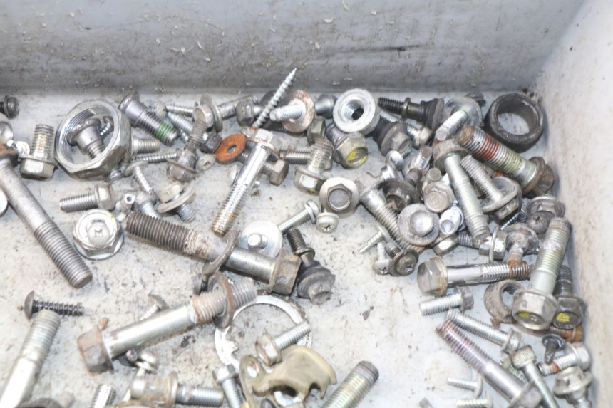 photo de SCREW FASTENER BAG HONDA FES PANTHEON 125 (2003 - 2007) - Alternative perspective