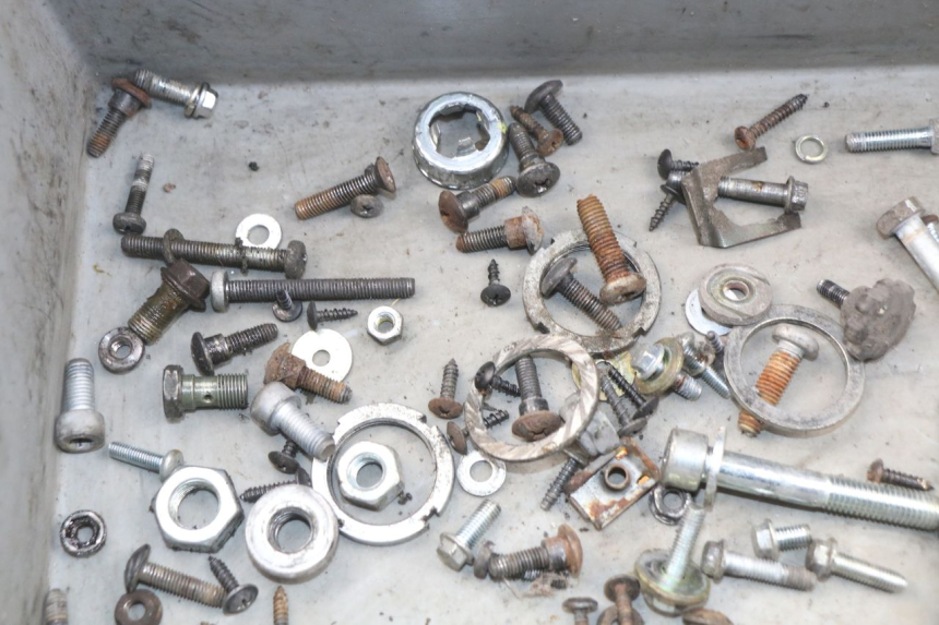 photo de SCREW BAG PIAGGIO FLY 2T 50 (2004 - 2017) - Alternative perspective