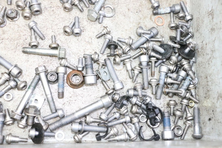 photo de SCREWS BAG BMW G310 R 310 (2016 - 2020) - Zoom on usage condition