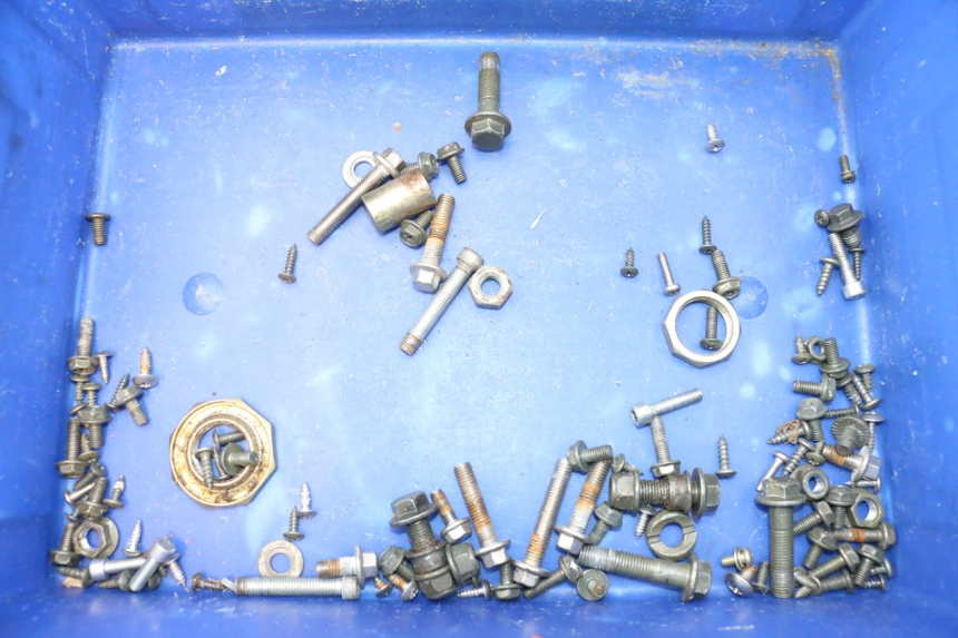 photo de SCREWS BAG BAIKU SAKURA 1 (2021 - 2025) - Main view