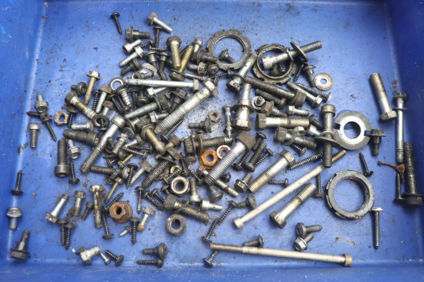 photo de SCREW FASTENER BAG PEUGEOT SATELIS 125 (2006 - 2009) - Main view