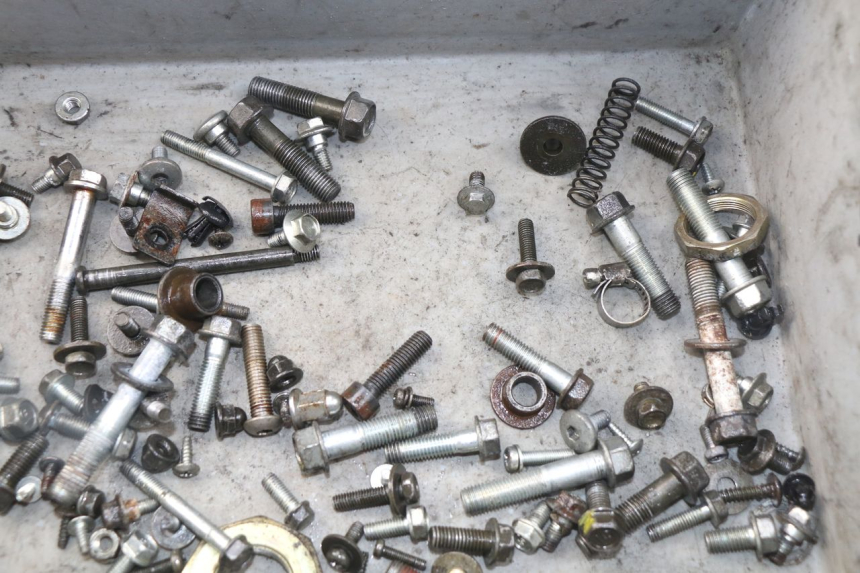 photo de SCREWS BAG HONDA SES DYLAN 125 (2002 - 2006) - Component detail