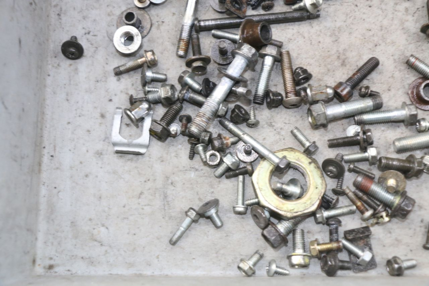 photo de SCREWS BAG HONDA SES DYLAN 125 (2002 - 2006) - Alternative perspective