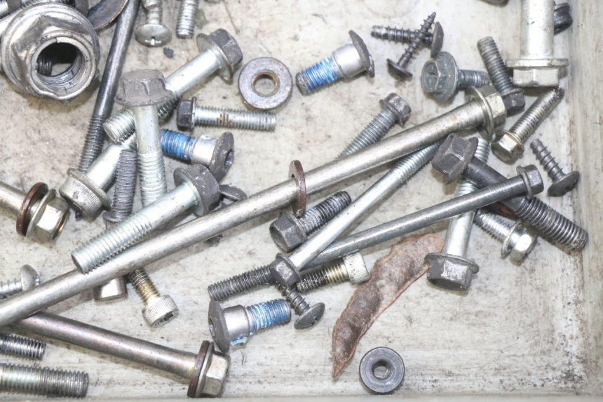 photo de SCREW BAG SUZUKI SIXTEEN 125 (2008 - 2010) - Zoom on usage condition