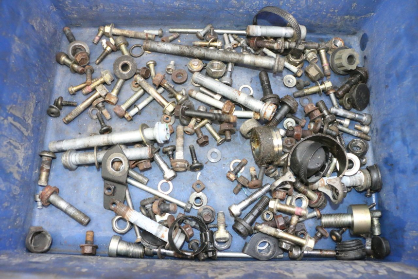 photo de SCREWS BAG TRIUMPH SPRINT 900 (1995 - 1998) - Main view